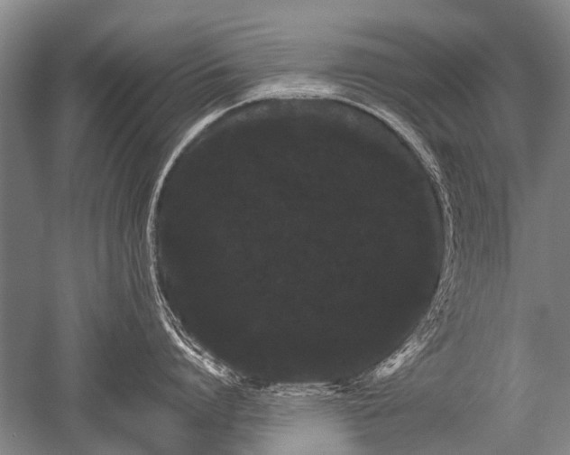 X0000052630864200507081938