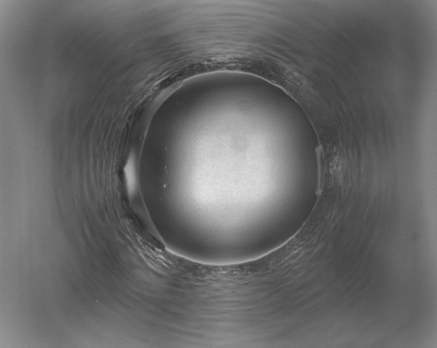 X0000052630868200507081937