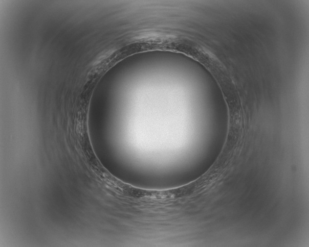 X0000052630869200507081937