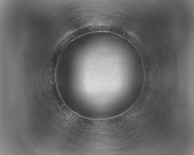 X0000052630870200507081937