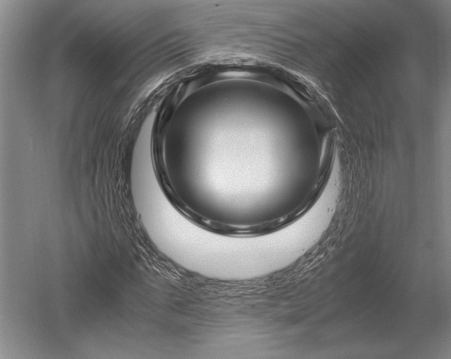 X0000052630871200507081937