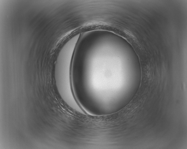 X0000052630872200507081937