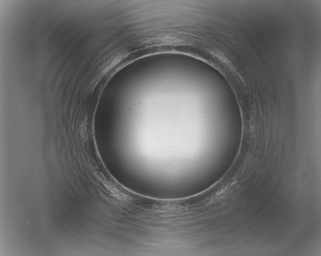 X0000052630873200507081937