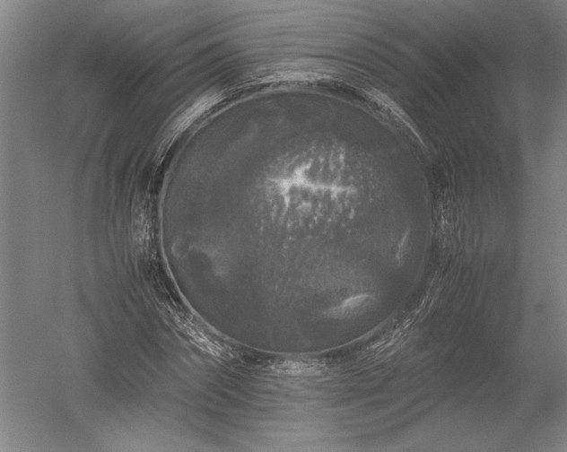X0000052630874200507081937