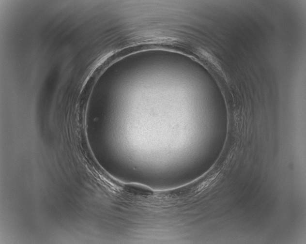 X0000052630875200507081937