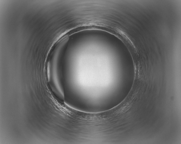 X0000052630876200507081937
