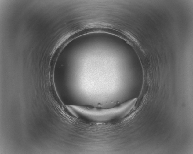 X0000052630877200507081937