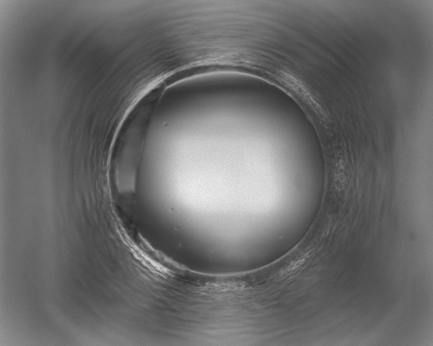 X0000052630884200507081936