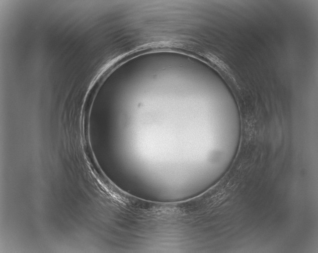 X0000052630886200507081936