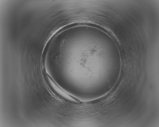 X0000052630887200507081936