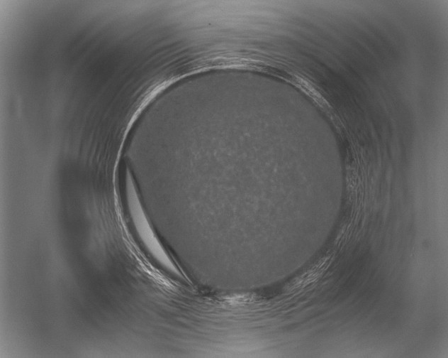 X0000052630891200507081936