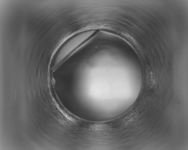 X0000052630894200507081936