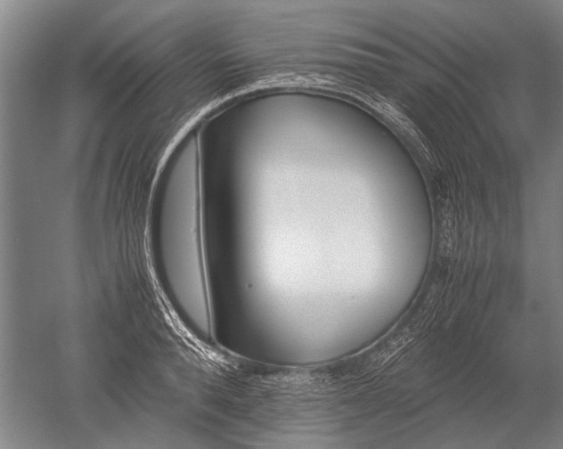 X0000052630896200507081936