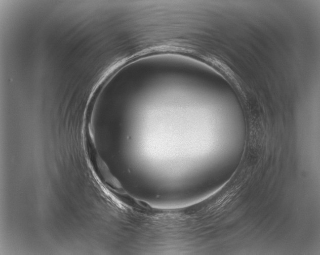 X0000052630902200507081936