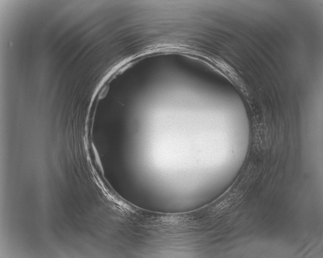 X0000052630904200507081936