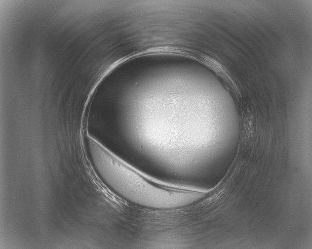 X0000052630908200507081936
