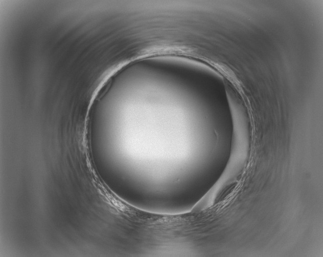 X0000052630912200507081936