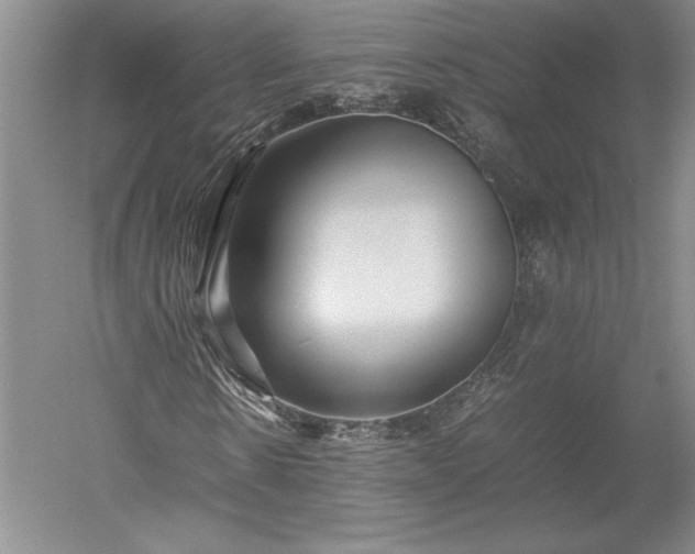 X0000052630914200507081935