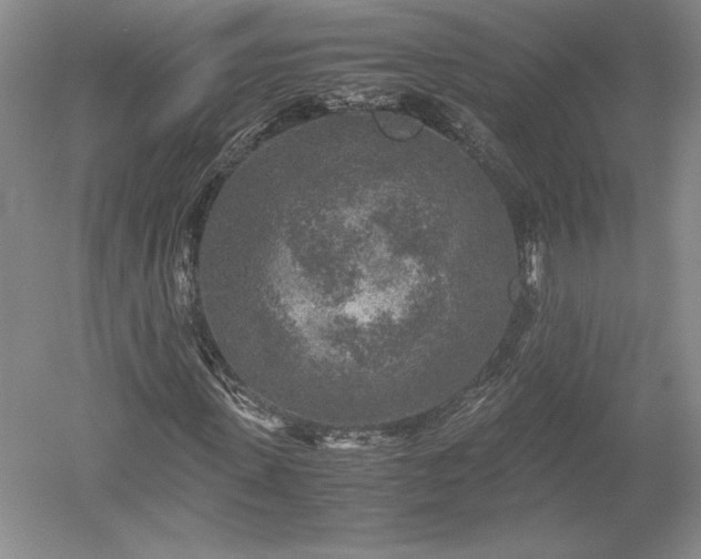 X0000052630915200507081935