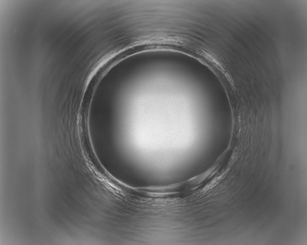 X0000052630928200507081935