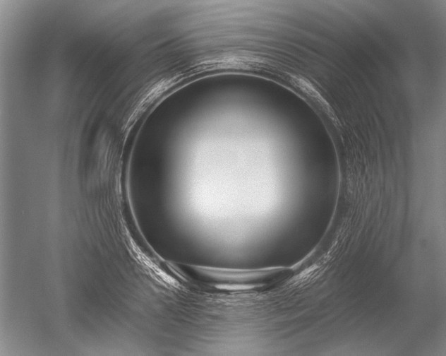 X0000052630938200507081936