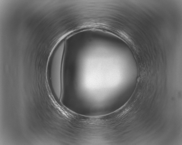 X0000052630940200507081936