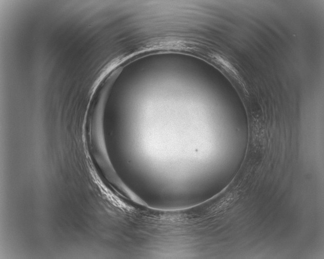X0000052630944200507081936
