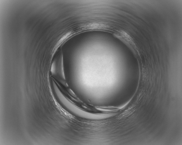X0000052630946200507081936
