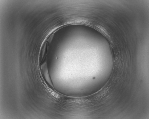 X0000052630948200507081936