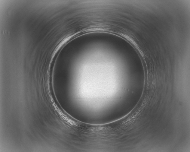 X0000052630949200507081936