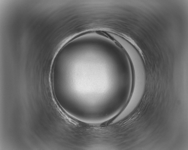 X0000052630959200507081936