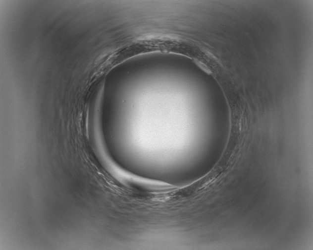 X0000052630965200507081935