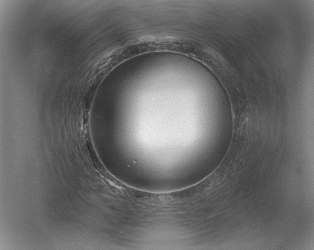X0000052630966200507081935