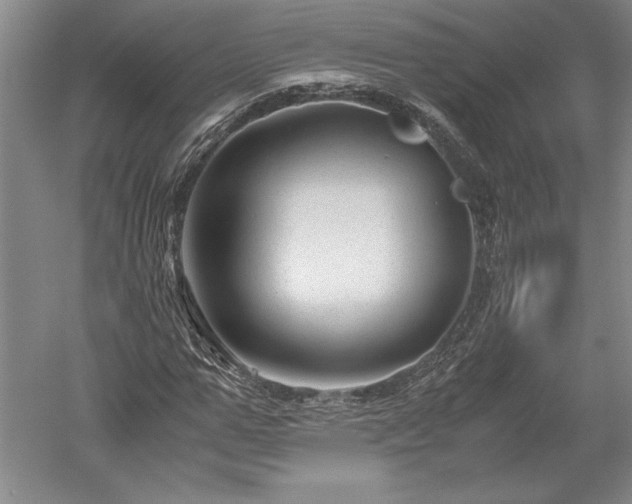 X0000052630967200507081935