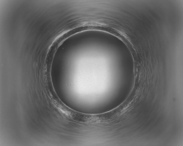 X0000052630971200507081935