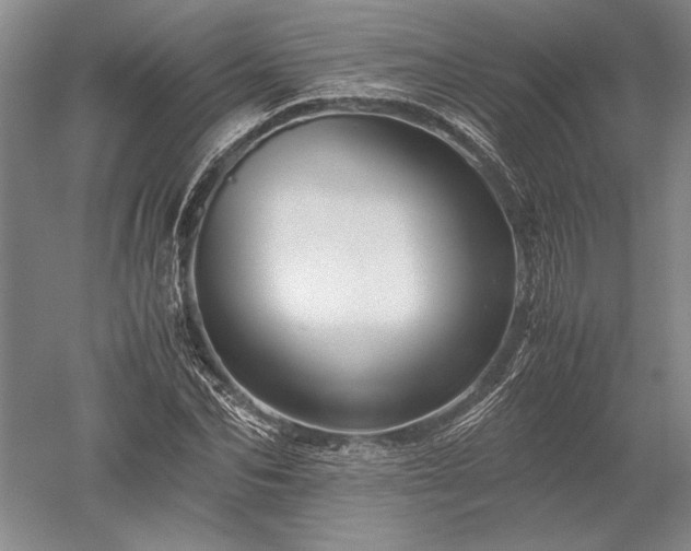 X0000052630974200507081935