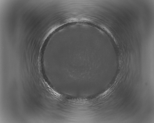 X0000052630975200507081935