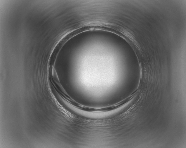 X0000052630976200507081935
