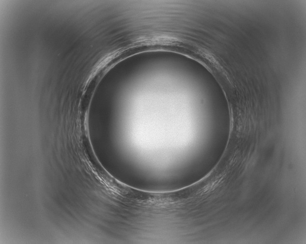 X0000052630978200507081935