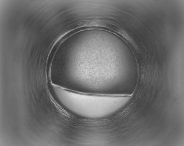 X0000052630980200507081935
