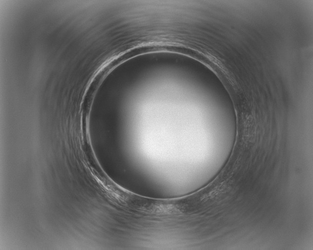 X0000052630982200507081935