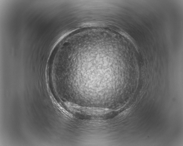 X0000052630983200507081935