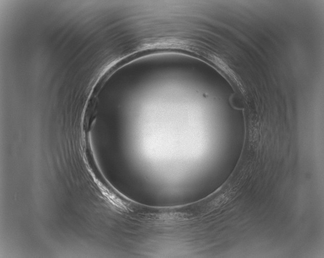 X0000052630988200507081935