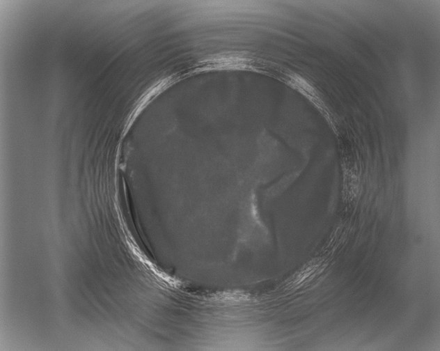 X0000052630994200507081935
