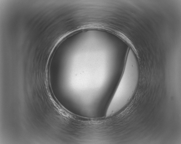 X0000052630996200507081935