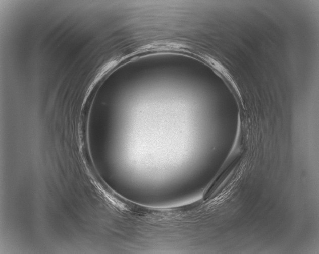 X0000052630997200507081935