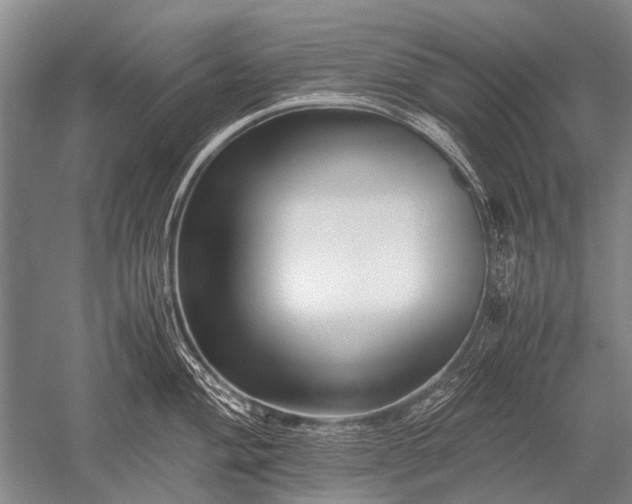 X0000052631004200507081934