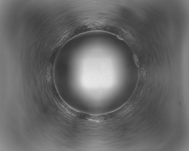 X0000052631012200507081934