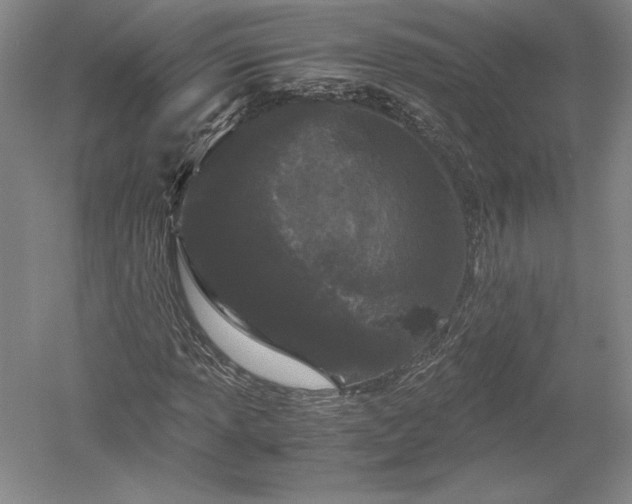 X0000052631013200507081934