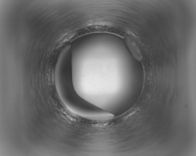X0000052631014200507081934